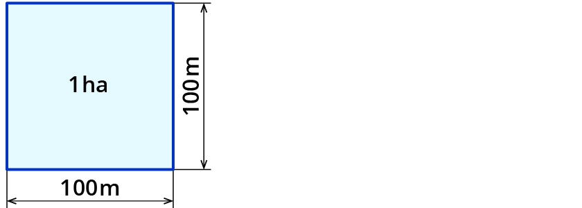 Flächeneinheiten schätzen