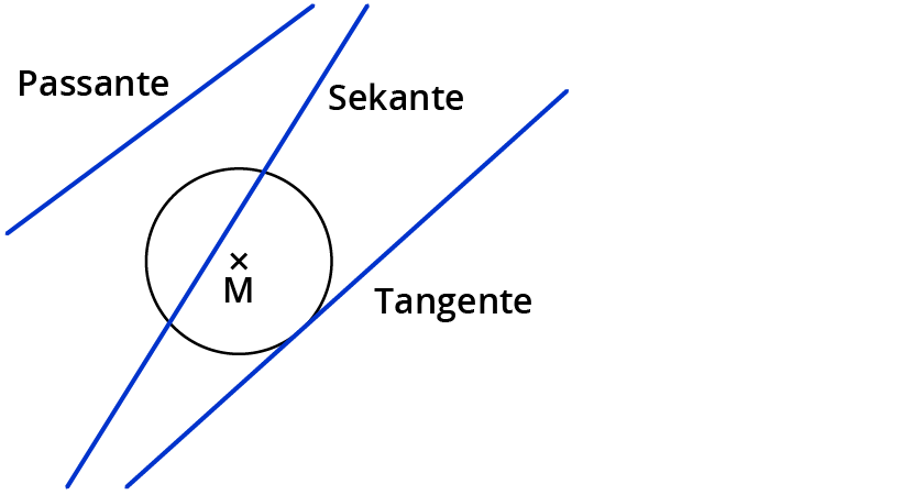 Geraden am Kreis untersuchen