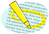 Die textgebundene Erörterung