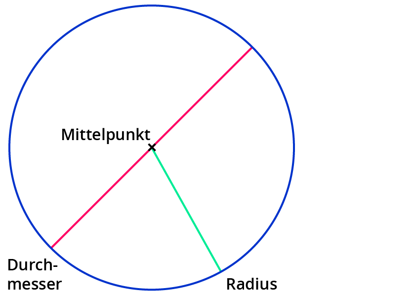 Den Umfang von Kreisen berechnen