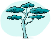Homonyme und synonyme Homonyme und synonyme