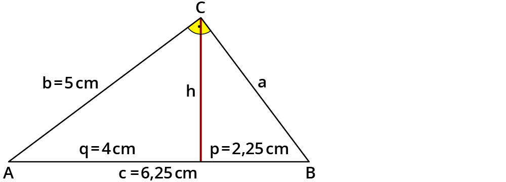 Den Kathetensatz und Höhensatz anwenden