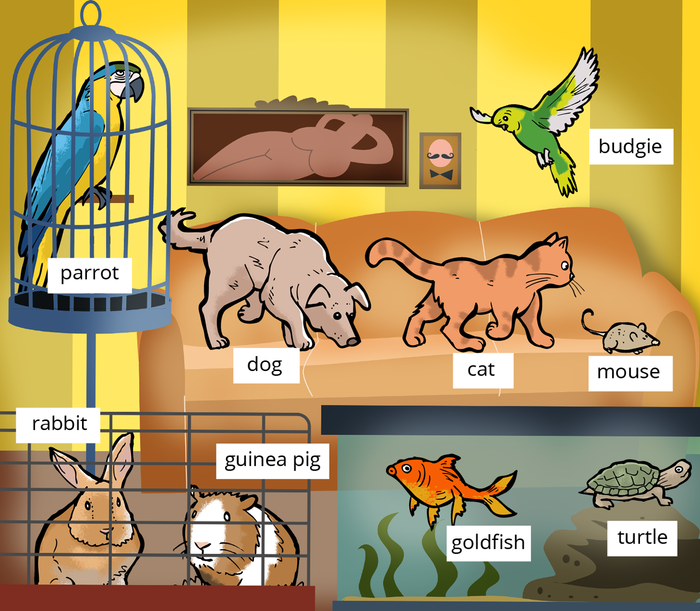 Wortschatz: Tiere